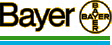 bayer.gif (2832 octets)