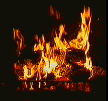 fire.gif (32434 octets)
